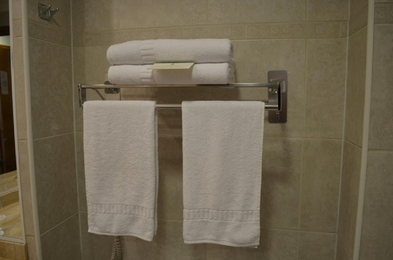 Hotel Diego De Almagro Talca タルカ エクステリア 写真